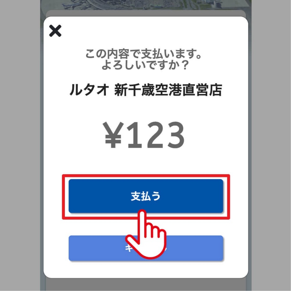 支払金額入力画面